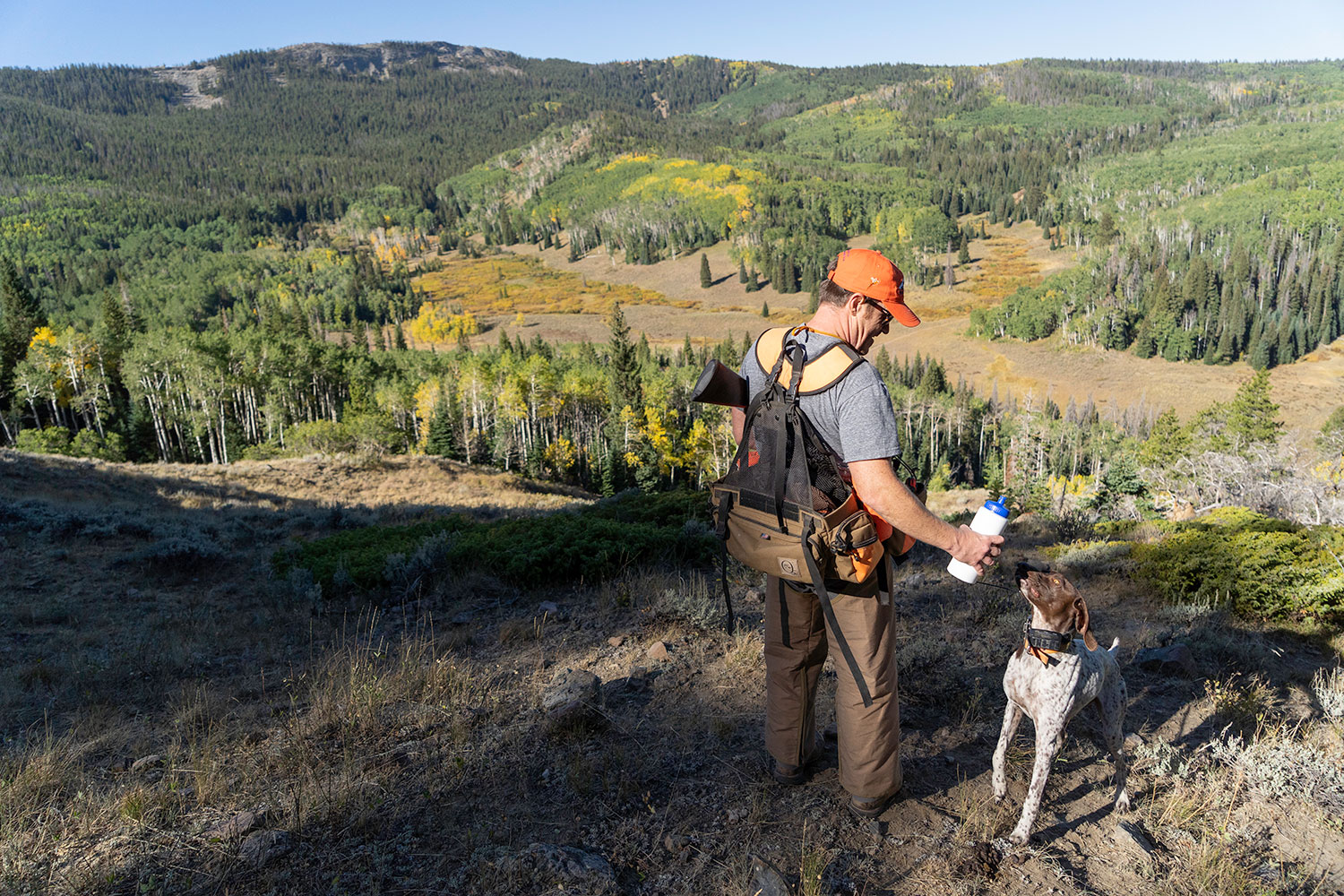 Grouse Hunt Reveals Elk Hunting Strategies Colorado Outdoors Online