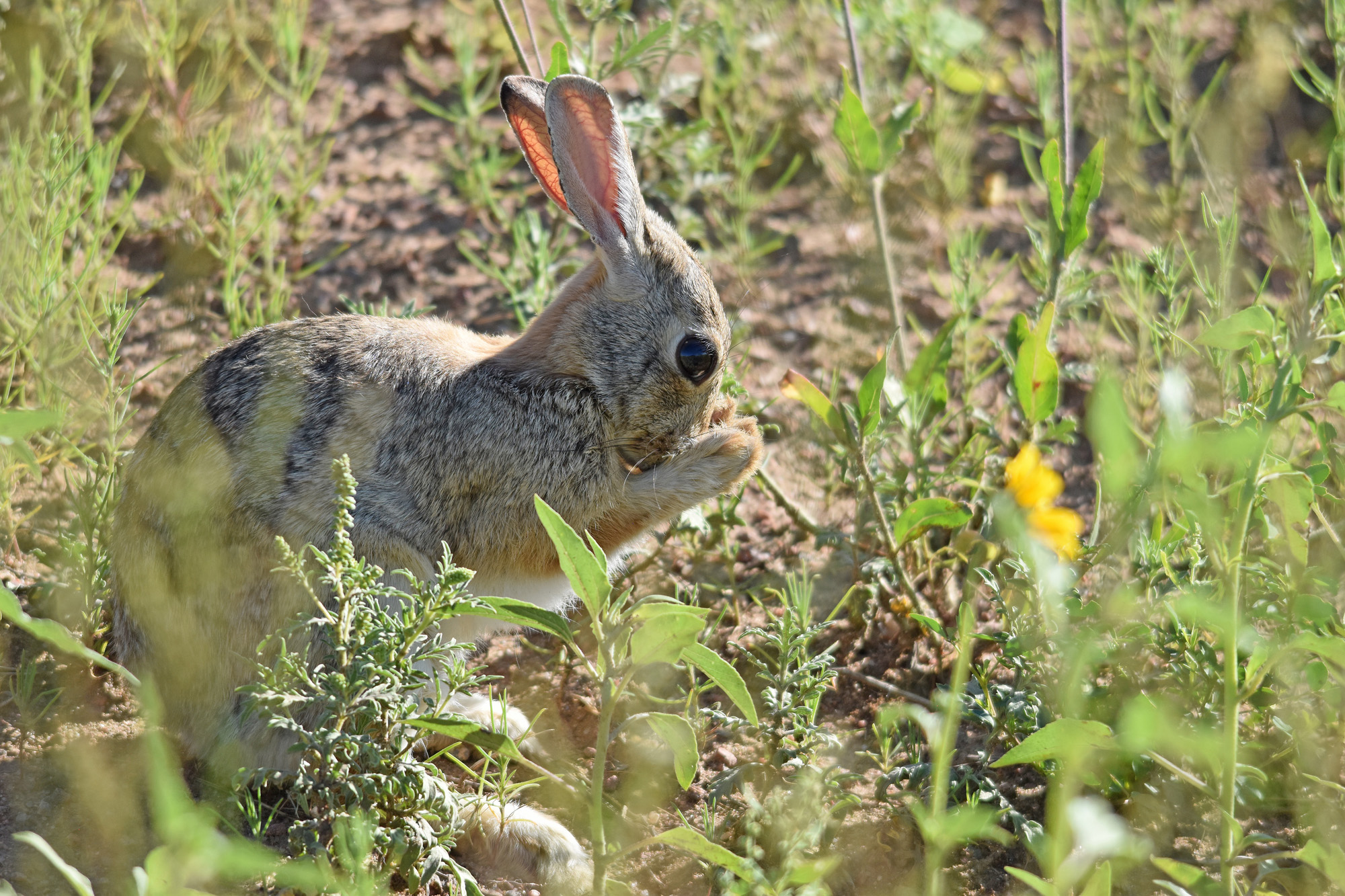 Slow Your Roll - Colorado Outdoors Online