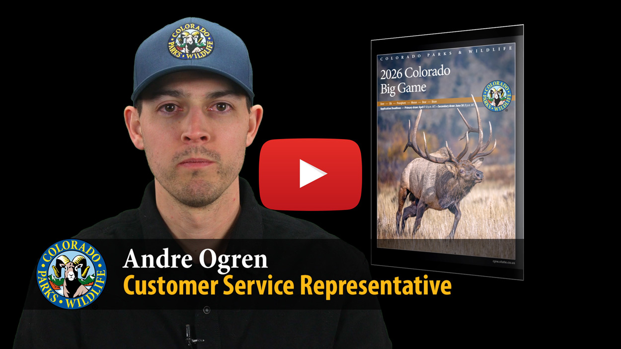 Video: 2026 Colorado Big-Game License Draw - Quick Tips - Colorado ...